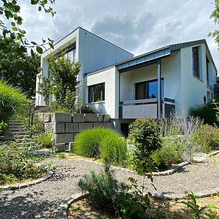 Black Forest Villa Lahr  Buitenkant foto